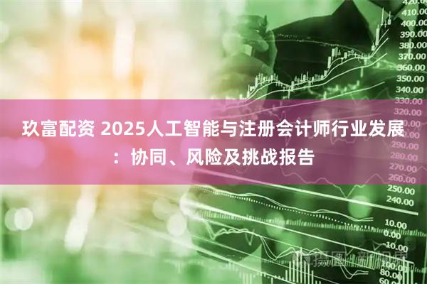 玖富配资 2025人工智能与注册会计师行业发展：协同、风险及挑战报告